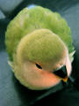 えさ