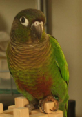 GeeBooTaro