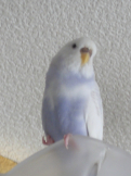 ちひろ