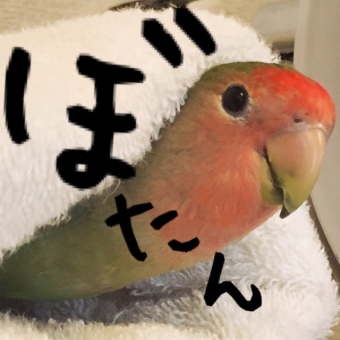 小桜ぼたん