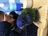 ボーちゃん