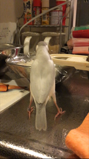 ぶんちゃんママ
