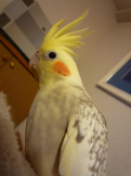 るんるん
