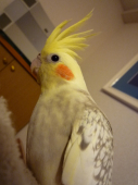 るんるん