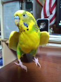ムー