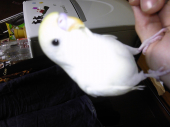 りょう