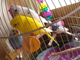 みも