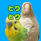 とりとりチャンヌゥ佐藤