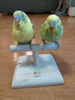 バナナとメロン