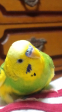 瞬