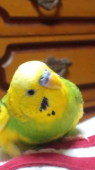 瞬