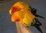 まささん