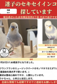 ラナ