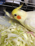ゆみ