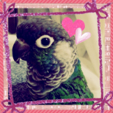 ロコちゃんママ