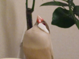 そらまる
