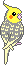 カズ
