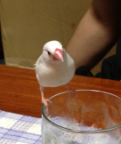◆あを◆