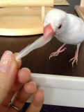 よぅ