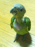 とも