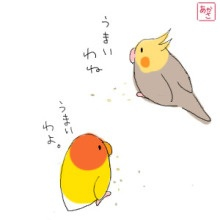 もりた