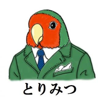 鳥の雑談 挨拶 うちのコザクラインコはメスでしょうか とりっち インコなど鳥の日本最大級sns