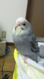 きゅー★゜