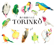 TORINKO　とりんこ　鳥の食器のお店