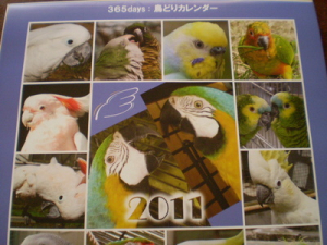 2011年度版TSUBASA365days鳥どりカレンダー