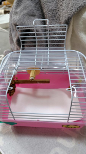 移動用キャリーケース 移動用キャリーケース