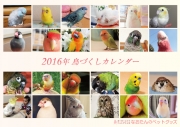 2016年鳥づくし壁掛けカレンダー