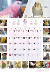 鳥づくし壁掛けカレンダー
