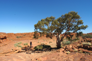 オーストラリア乾燥地域