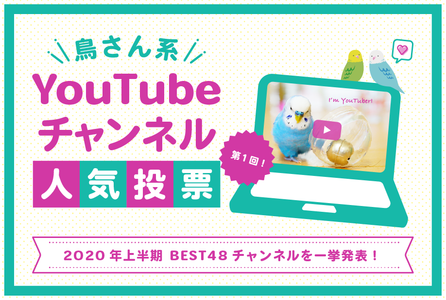 第1回「鳥さん系YouTubeチャンネル人気投票」結果発表！人気の48チャンネル一挙紹介！